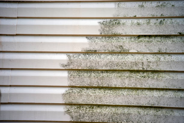 Best Siding Removal and Disposal  in Isla Vista, CA